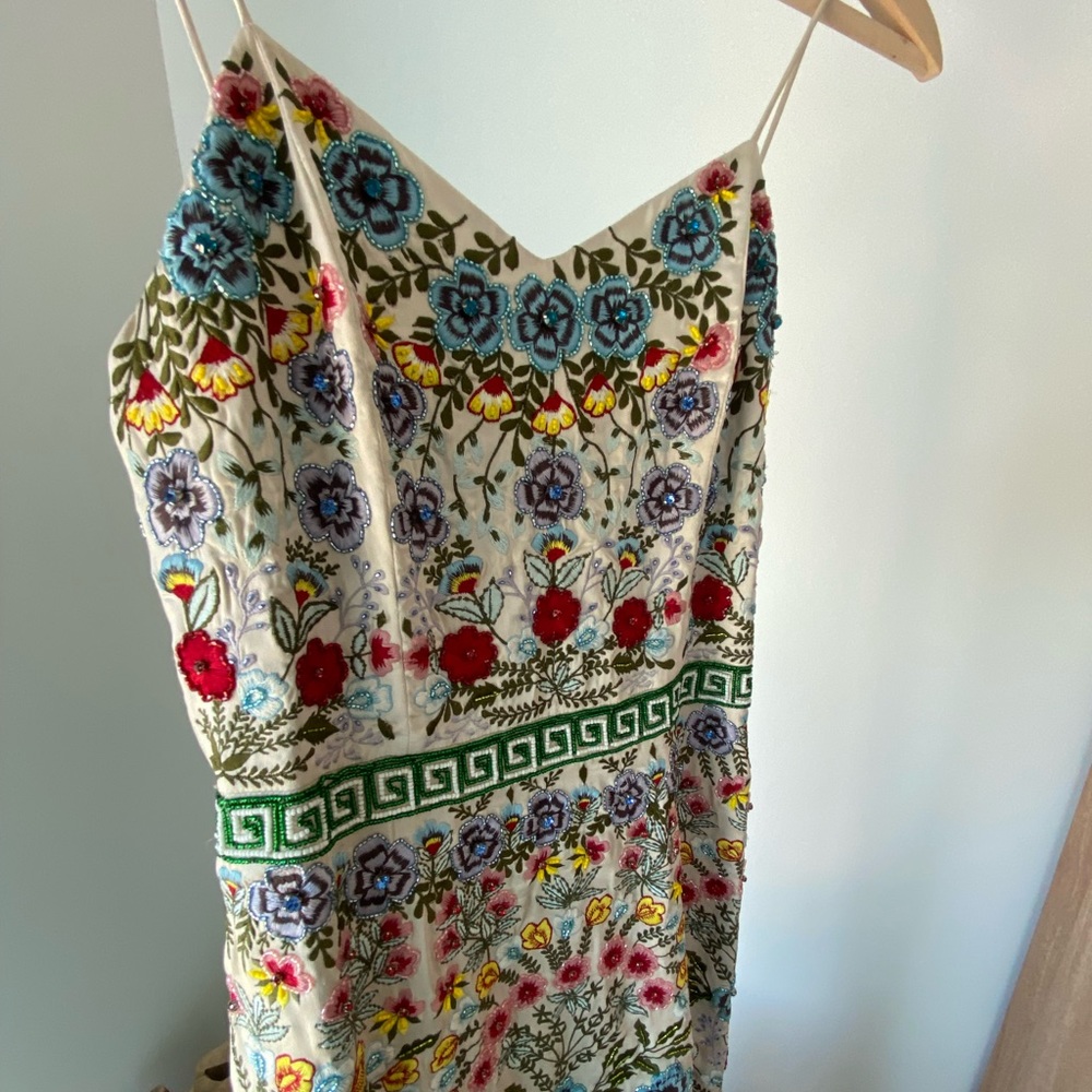 Alice + Olivia 2 Dresses Together